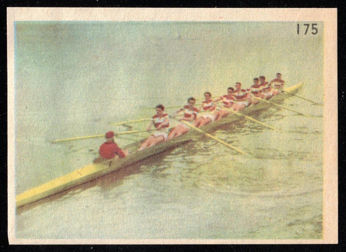 CC FRA Les Docks Franc Comtois Les Sports No. 175 Aviron M8 front