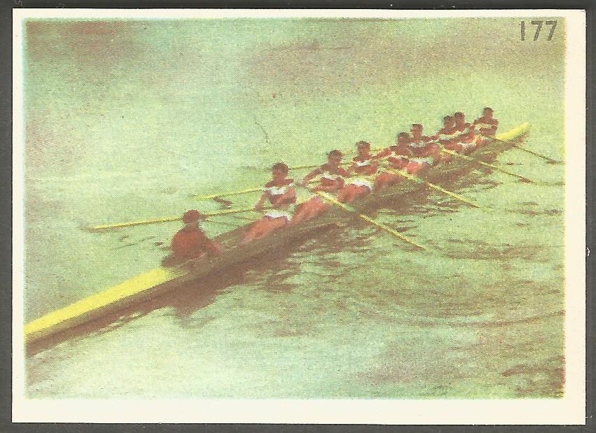 cc fra brasseries motte cordonnier no. 177 aviron 8