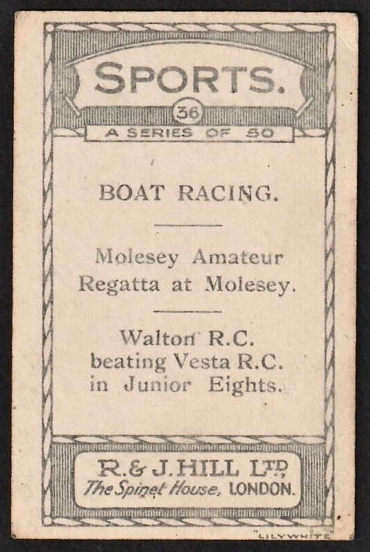 CC GBR R. J. Hill Sports No. 36 Molesey Regatta reverser