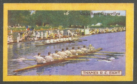cc gbr 1924 gallaher s cigarettes british champions of 1923 no. 29   the thames rowing club  winner of the grand challenge cup 1923 at henley royal regatta