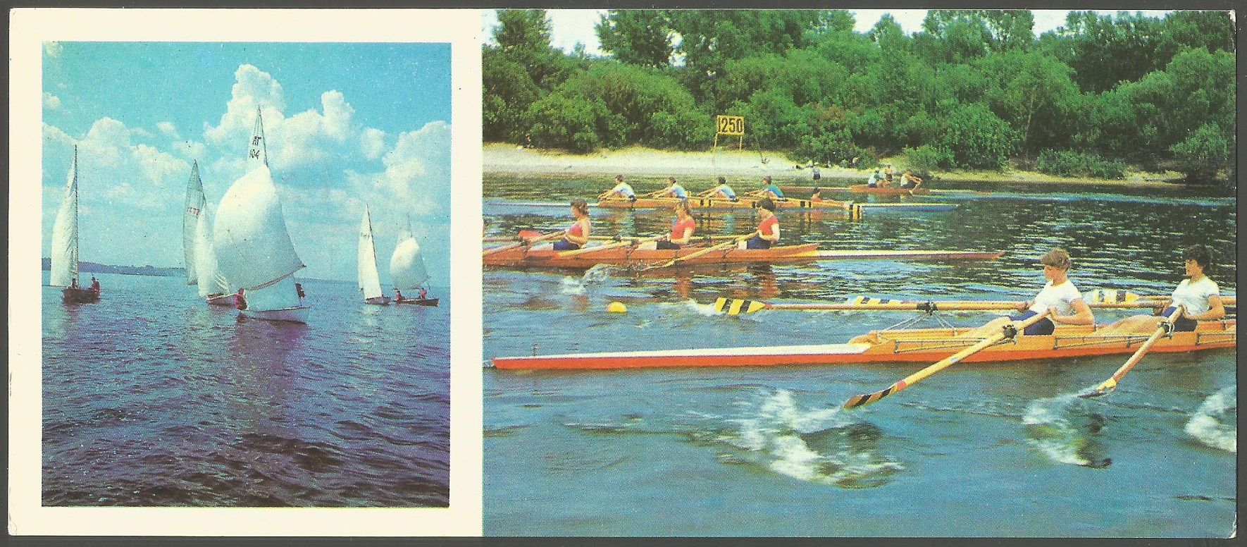 Illustrated card URS undated Kiev regatta W4X competing front