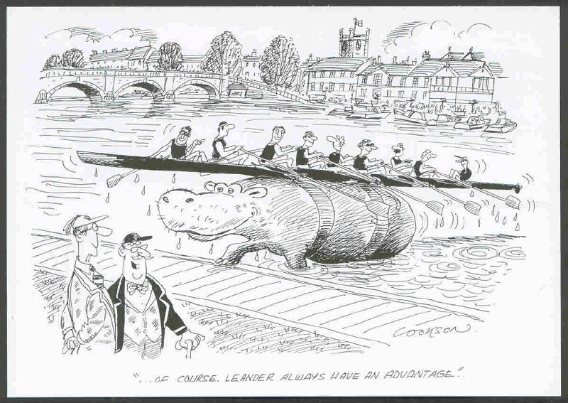 pc gbr henley rowing cartoons by b. cookson leander 8 on back of hippopotamus 