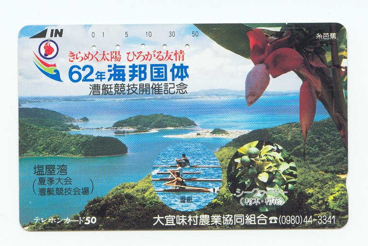 tc jpn 1987 kaiho sport festival four single scullers racing abreast in coastal waters red blossom on the right 